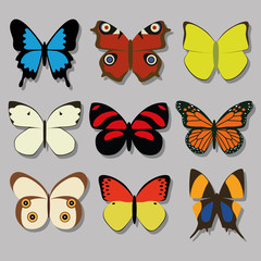 Obraz na płótnie Canvas butterfly collection