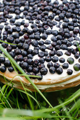 fresh blueberry cake