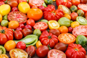 colorful tomatoes