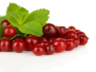 Ripe red cranberries, isolated on white.