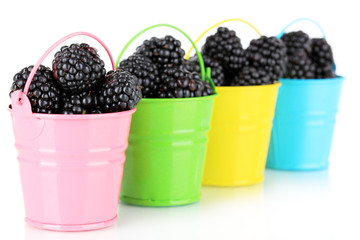 Sweet blackberries in buckets isolate on white