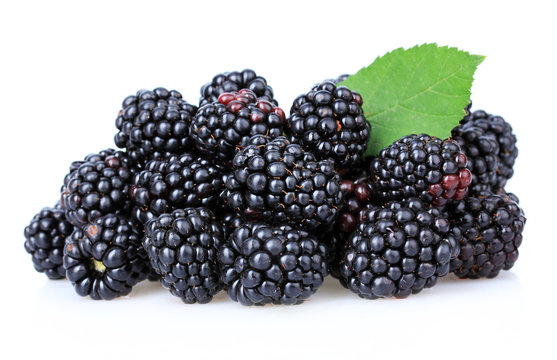 Sweet blackberries isolated on white