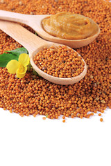 Mustard seeds with mustard flower isolated on white