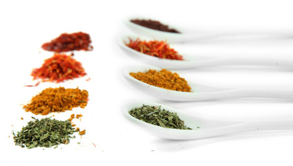 Assortment of spices in  white spoons, isolated on white