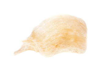 cleaned swiftlet nest on white background