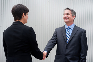Businesswoman shaking hands with businessman