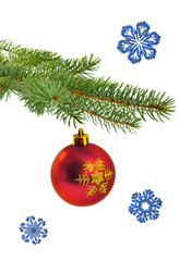 Obraz na płótnie Canvas christmas tree branch with red ball