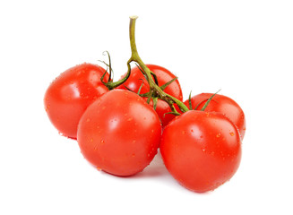 tomatoes