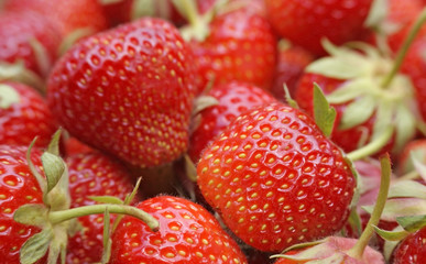 Strawberries