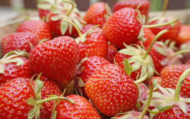 Strawberries