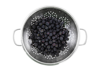 Fresh Blackberries in a Colander