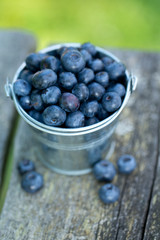 blueberries in a metallic bucket