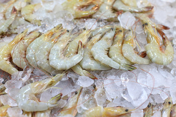 Shrimp frozen in ice for sale