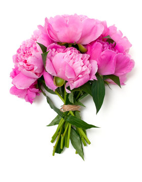 Fototapeta bunch of pink peonies isolated on white background