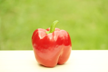 レッドパプリカ