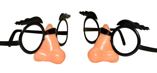 Funny Disguise Glasses
