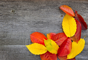 Naklejka na ściany i meble Autumn Leaves over old wooden background