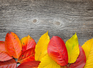 Fototapeta na wymiar Autumn Leaves over old wooden background