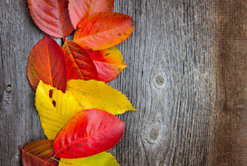 Autumn Leaves over old wooden background