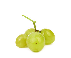 Green berry of grape.