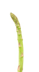Fresh asparagus.