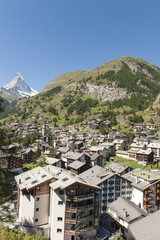 Obraz premium Zermatt, Bauboom, Walliser Alpen, Matterhorn, Schweiz