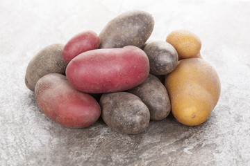 Fototapeta na wymiar Various raw potatoes.