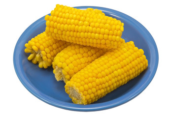 Ear of Corn