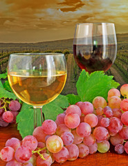 glasses and grape by a vineyard