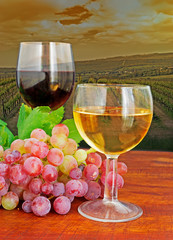 two glasses at dusk