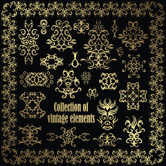 Set of vintage elements for decoration. Vector collection
