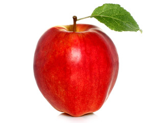 Red apple on white background .