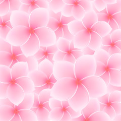 Plumeria, Frangipani pattern (background). Asian pink flower