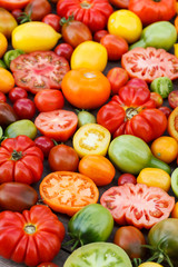 colorful tomatoes