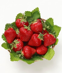 Basket od fresh strawberries with leaves on white background