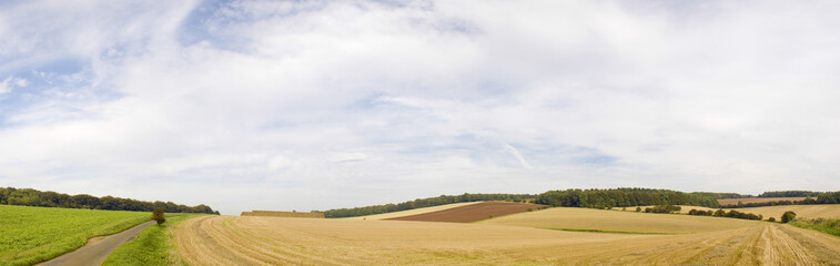 Naklejka premium Idyllic rural landscape, Cotswolds UK
