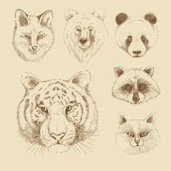 Set of different wild animals - 55661873