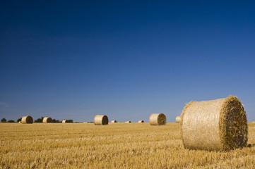 Fototapeta premium Hay bales, Idyllic rural landscape.