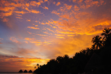 The fine sky on sunset in tropics