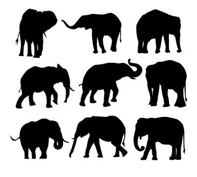 elephants silhouette