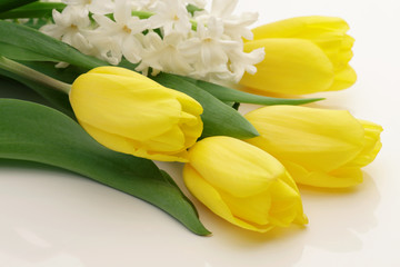 Yellow tulips and white hyacinth isolated on white background