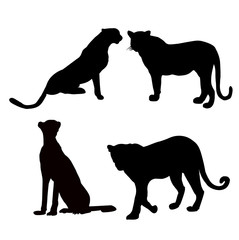 Obraz premium leopard silhouette