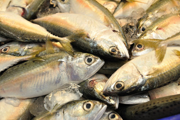 Fresh fishes in market, Thailand.