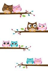 Fototapeta premium couples of owls sitting on branches