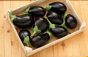 Box of purple eggplants