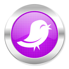 twitter icon