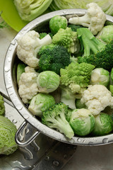 Variety of cabbage  in a collander