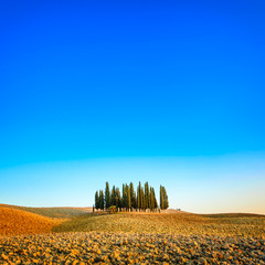 Cypress group landscape in Orcia, San Quirico, Tuscany. Italy - obrazy, fototapety, plakaty