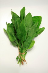 Bunch of green spinach leaves on white background