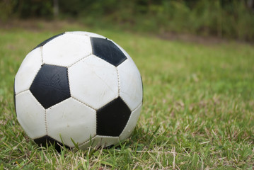 Fototapeta premium soccer ball on green field